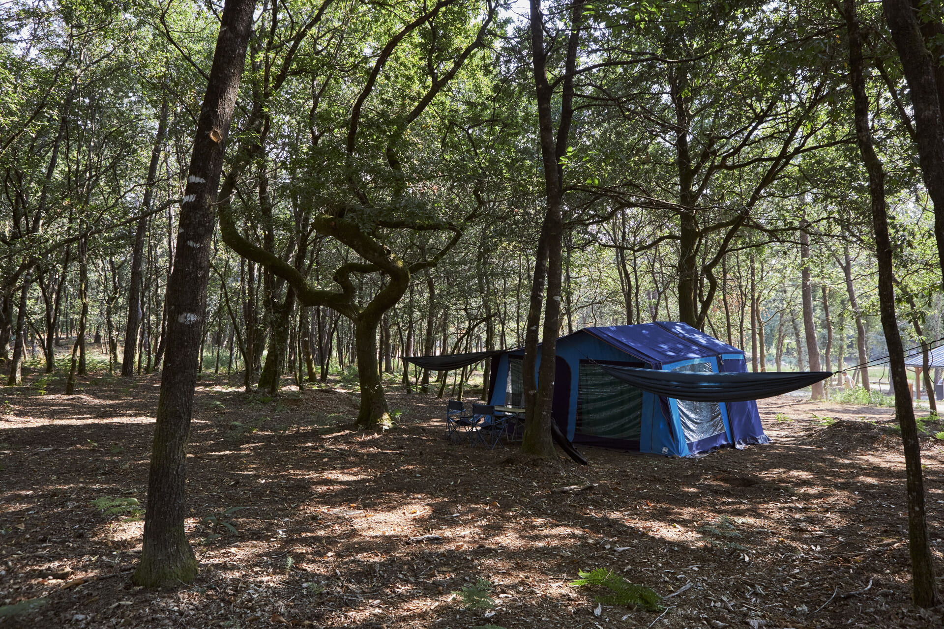 HUTTOPIA_-_CAMINOS_DE_GALICIA-__Claudia_Maturana-3043-1920px